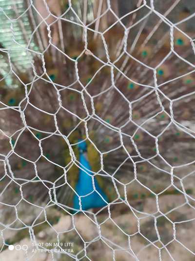 SALIDA CASTELLANA 2022