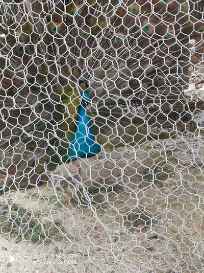 SALIDA CASTELLANA 2022