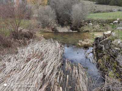 SALIDA CASTELLANA 2022