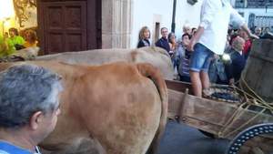 ACAMPADA DE LA VENDIMIA 2019