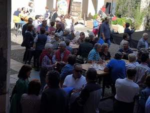 ACAMPADA DE LA VENDIMIA 2019