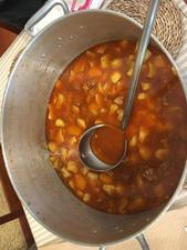 Acampada MARICASTAÑA 2019