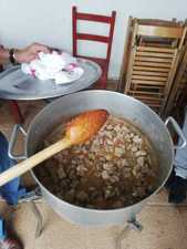 Acampada MARICASTAÑA 2019