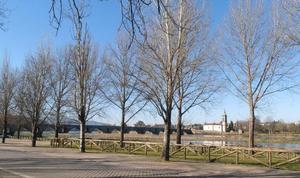 SALIDA CARNAVAL  2020