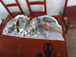 PRIMERA SALIDA POSTCOVID-19