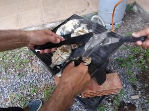 PRIMERA SALIDA POSTCOVID-19