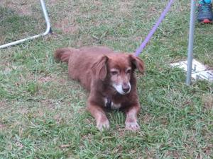 ACAMPADA DE LA SANTINA 2020