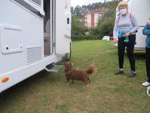 ACAMPADA DE LA SANTINA 2020