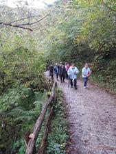 ACAMPADA del PILAR 2020