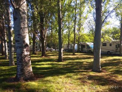 ACAMPADA ORILLAS DEL ORBIGO 2021 ACAMPADA ORILLAS DEL ORBIGO 2021