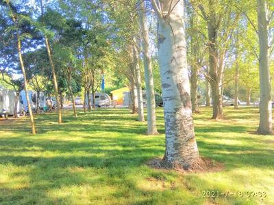 ACAMPADA ORILLAS DEL ORBIGO 2021 ACAMPADA ORILLAS DEL ORBIGO 2021