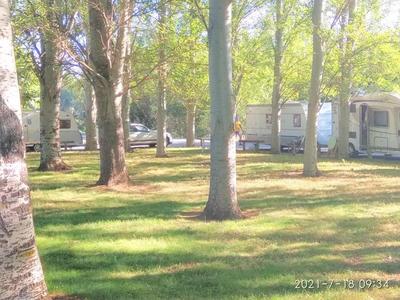 ACAMPADA ORILLAS DEL ORBIGO 2021 ACAMPADA ORILLAS DEL ORBIGO 2021