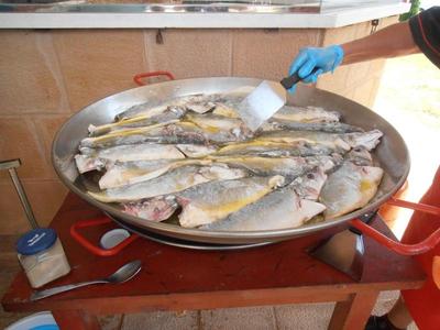 ACAMPADA DE LA SANTINA 2021