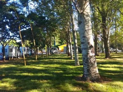 ACAMPADA ORILLAS DEL ORBIGO 2021 ACAMPADA ORILLAS DEL ORBIGO 2021